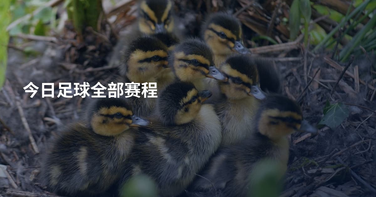 今日足球全部赛程