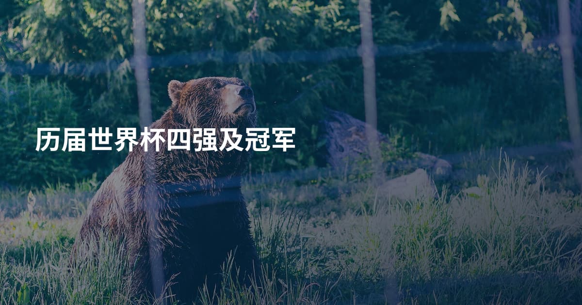 历届世界杯四强及冠军