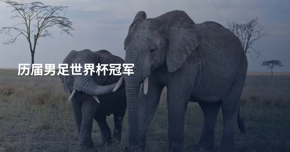 历届男足世界杯冠军