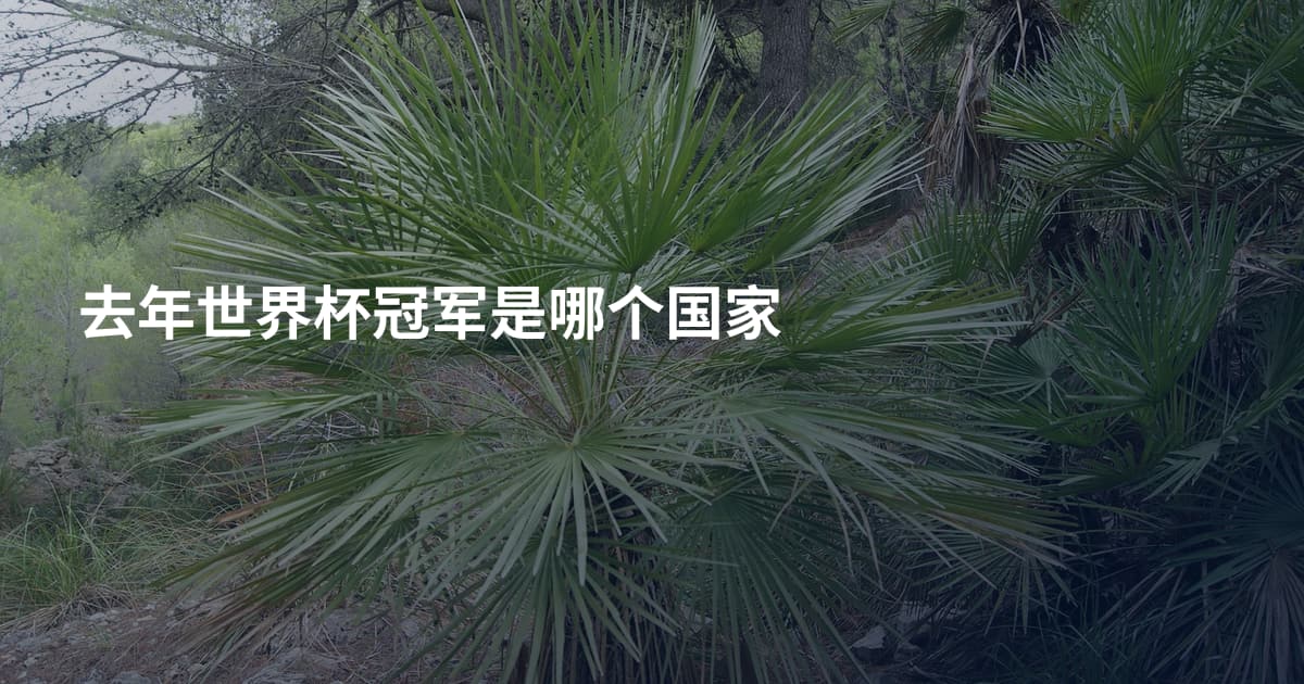 去年世界杯冠军是哪个国家