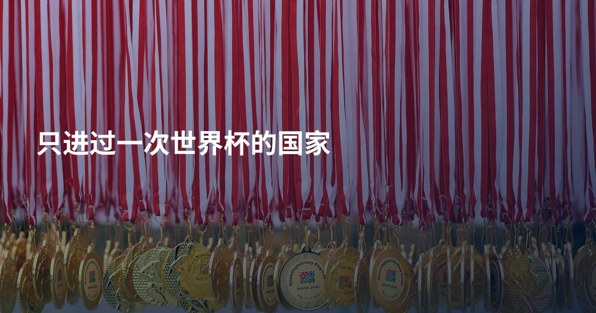 只进过一次世界杯的国家