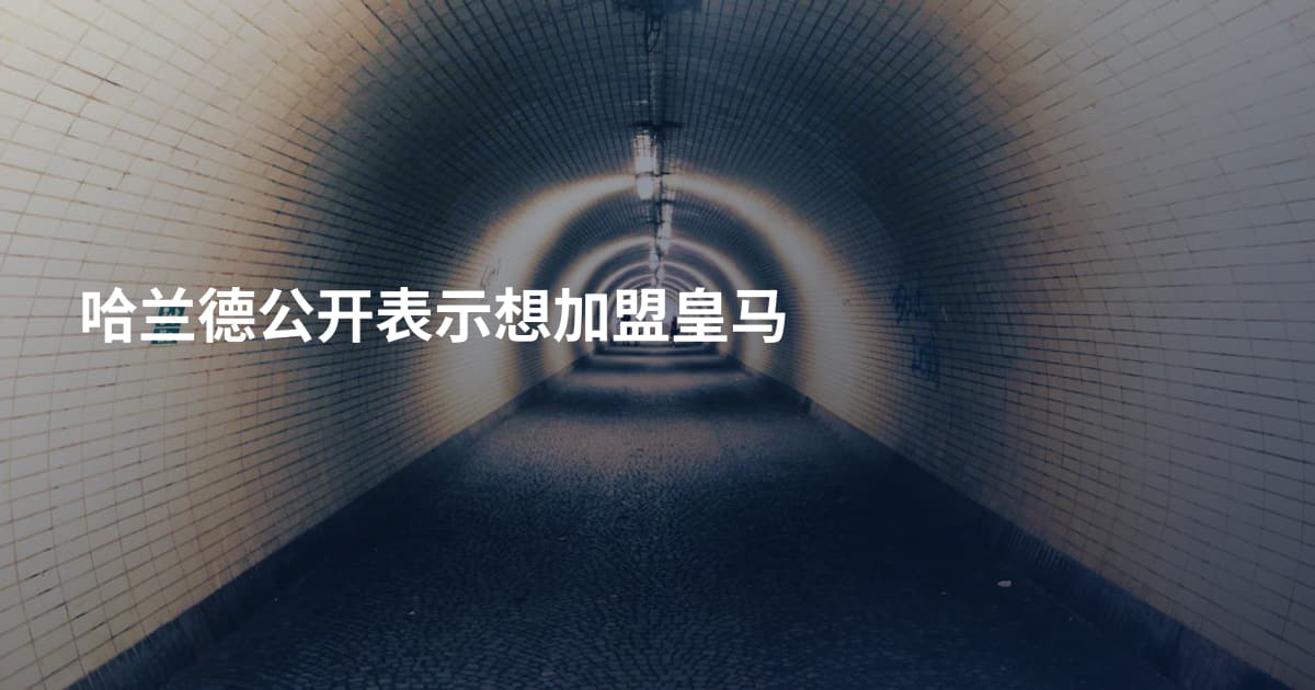 哈兰德公开表示想加盟皇马
