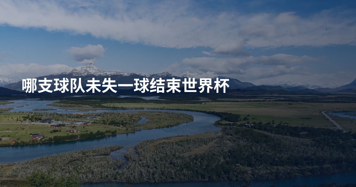 哪支球队未失一球结束世界杯