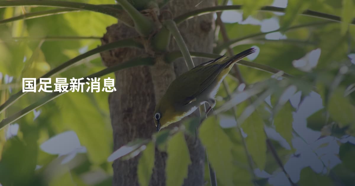 国足最新消息