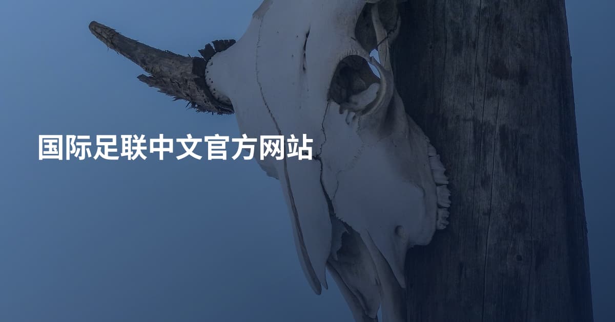 国际足联中文官方网站