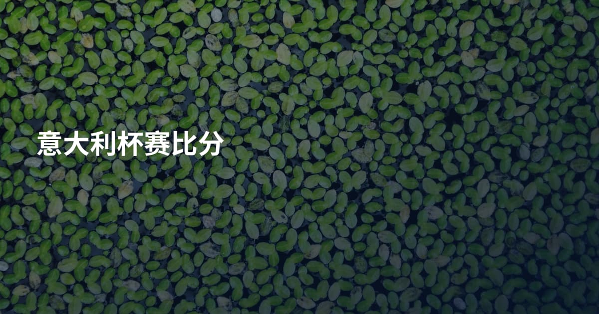 意大利杯赛比分