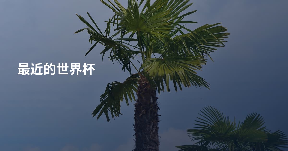 最近的世界杯
