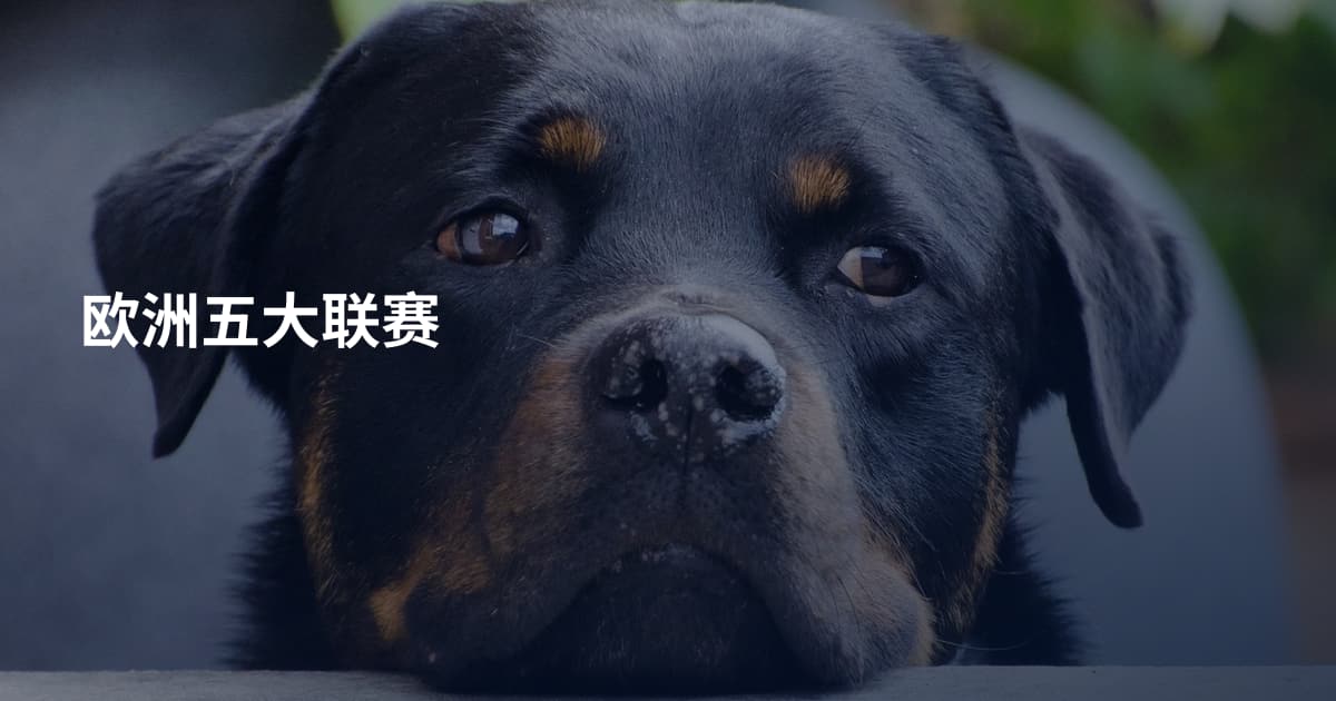 欧洲五大联赛