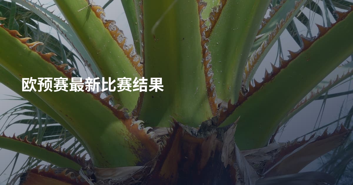 欧预赛最新比赛结果
