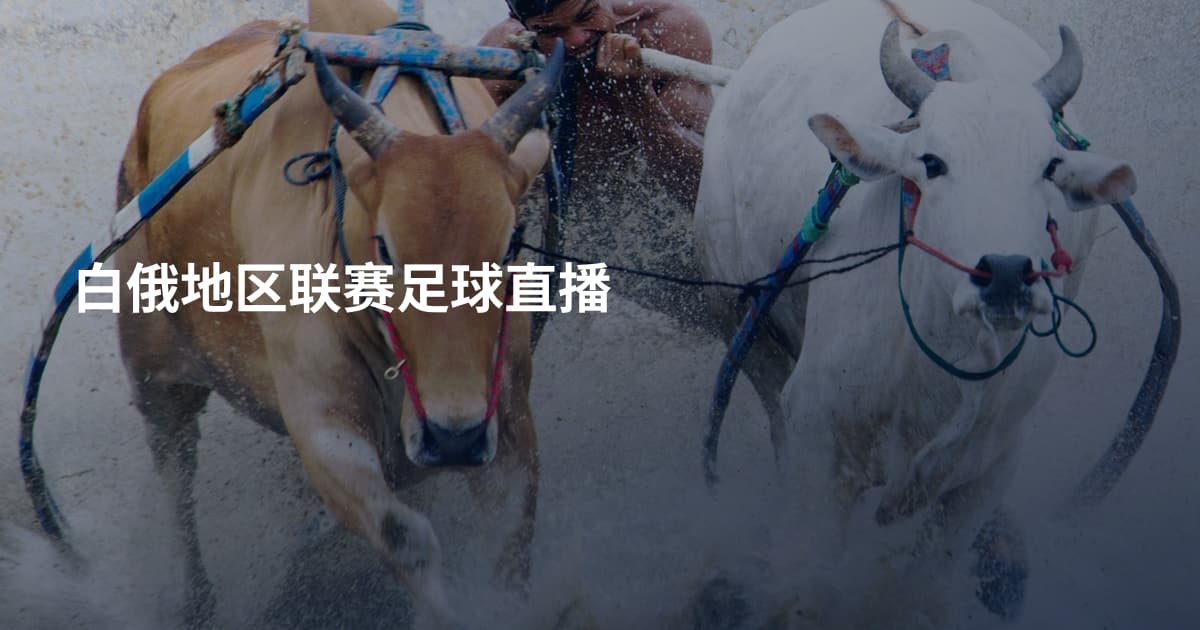 白俄地区联赛足球直播