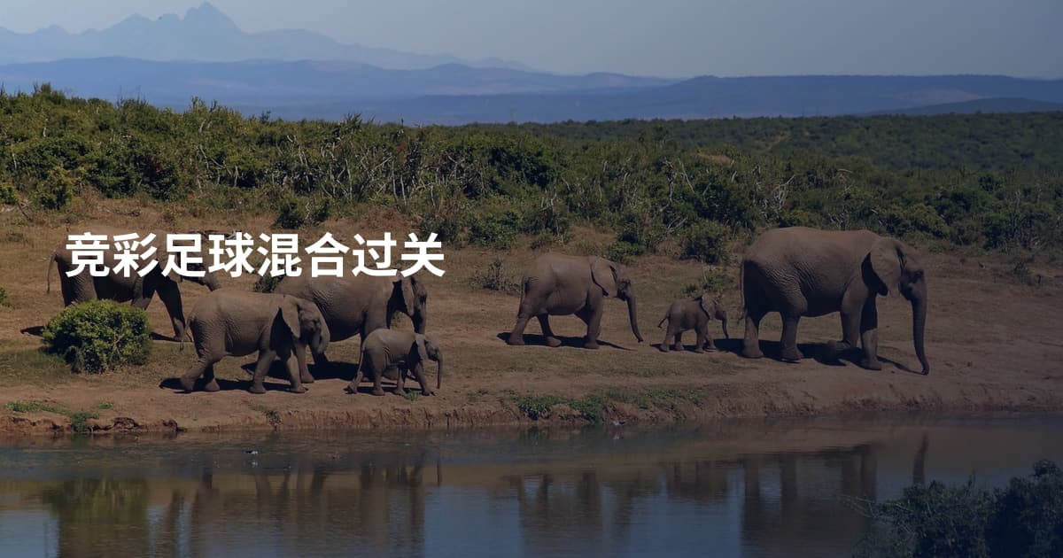 竞彩足球混合过关