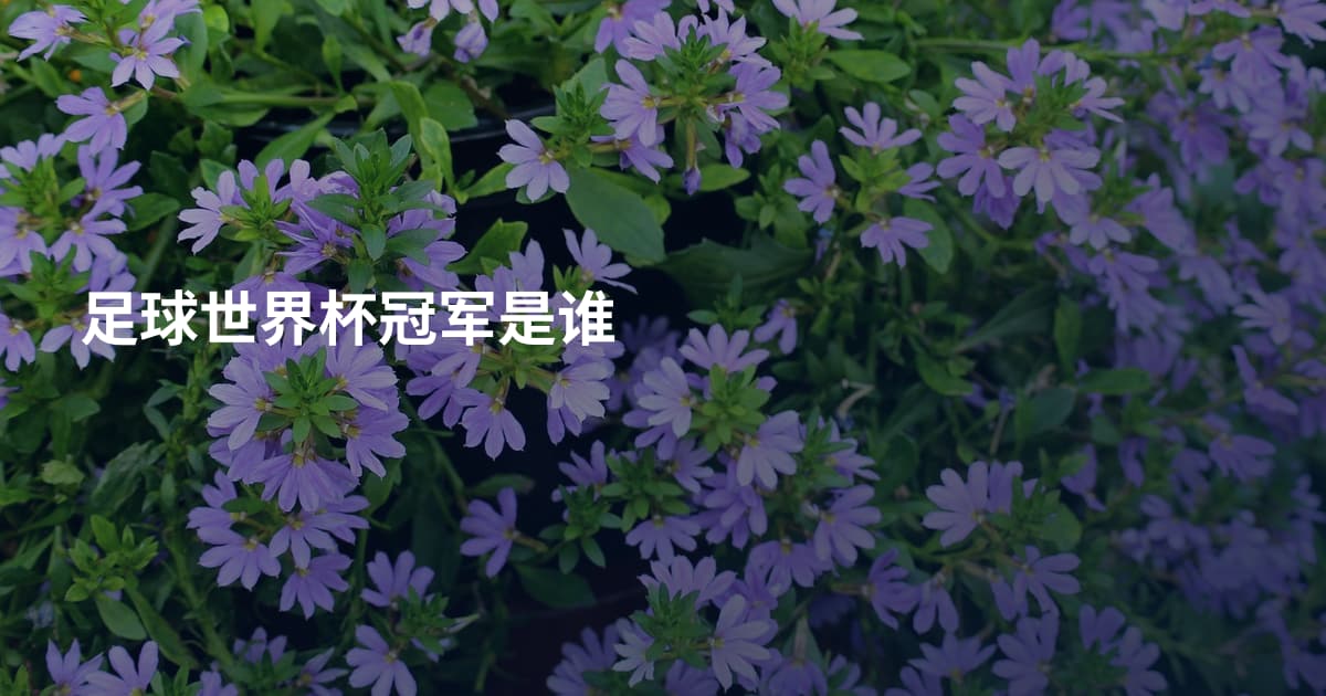 足球世界杯冠军是谁
