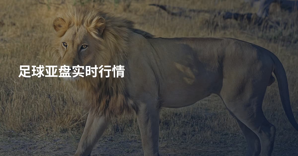 足球亚盘实时行情