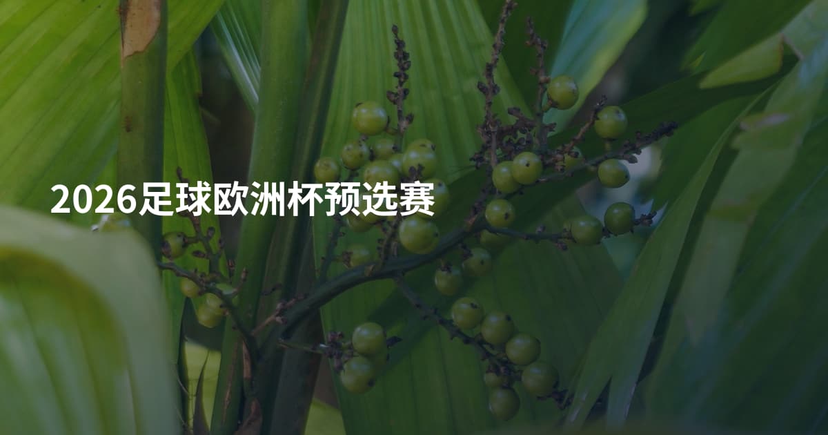 2026足球欧洲杯预选赛