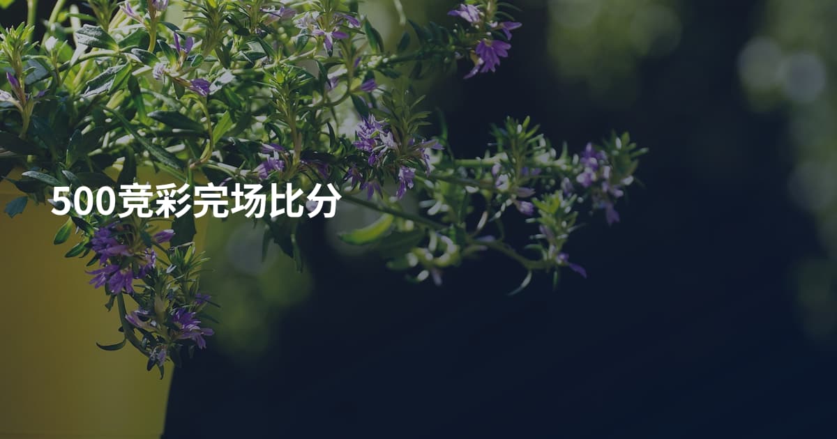 500竞彩完场比分