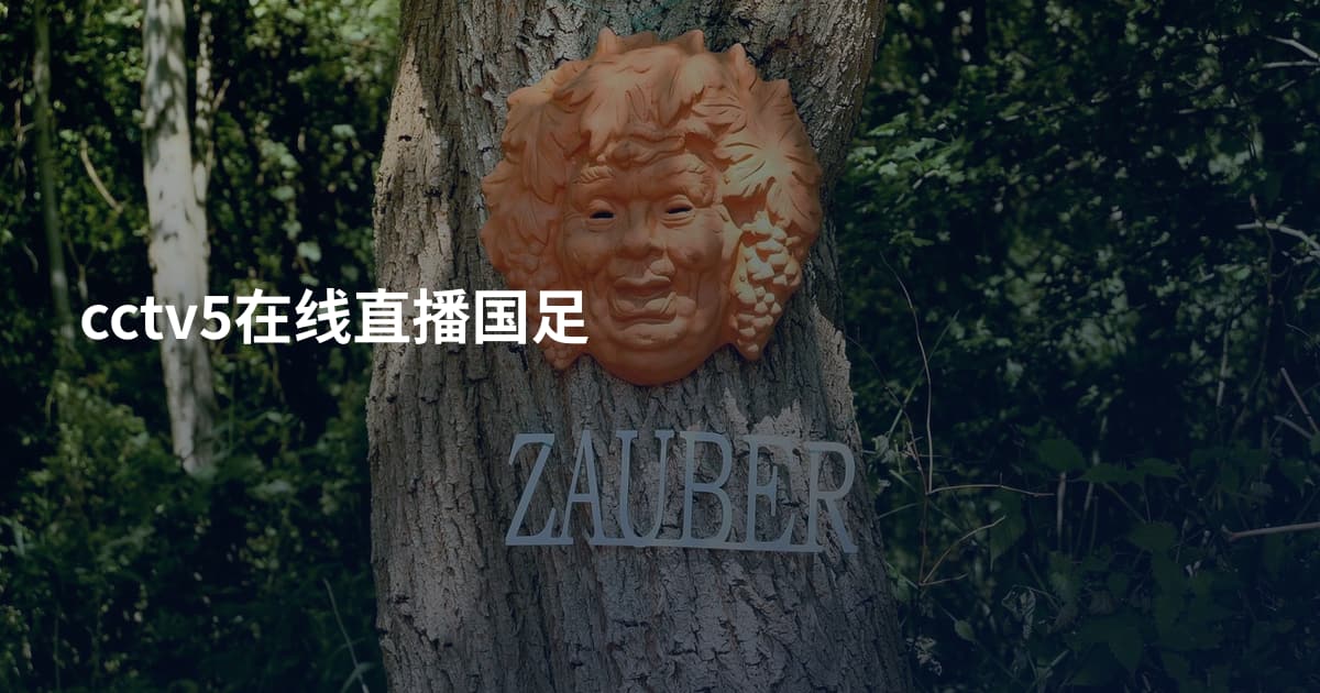 cctv5在线直播国足