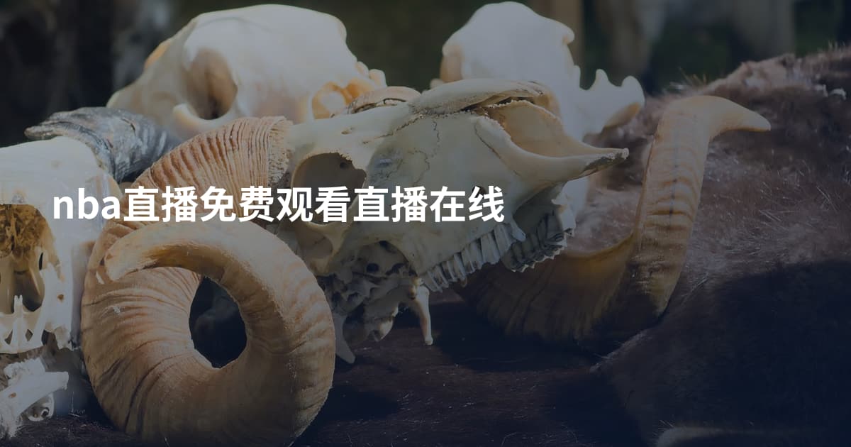 nba直播免费观看直播在线