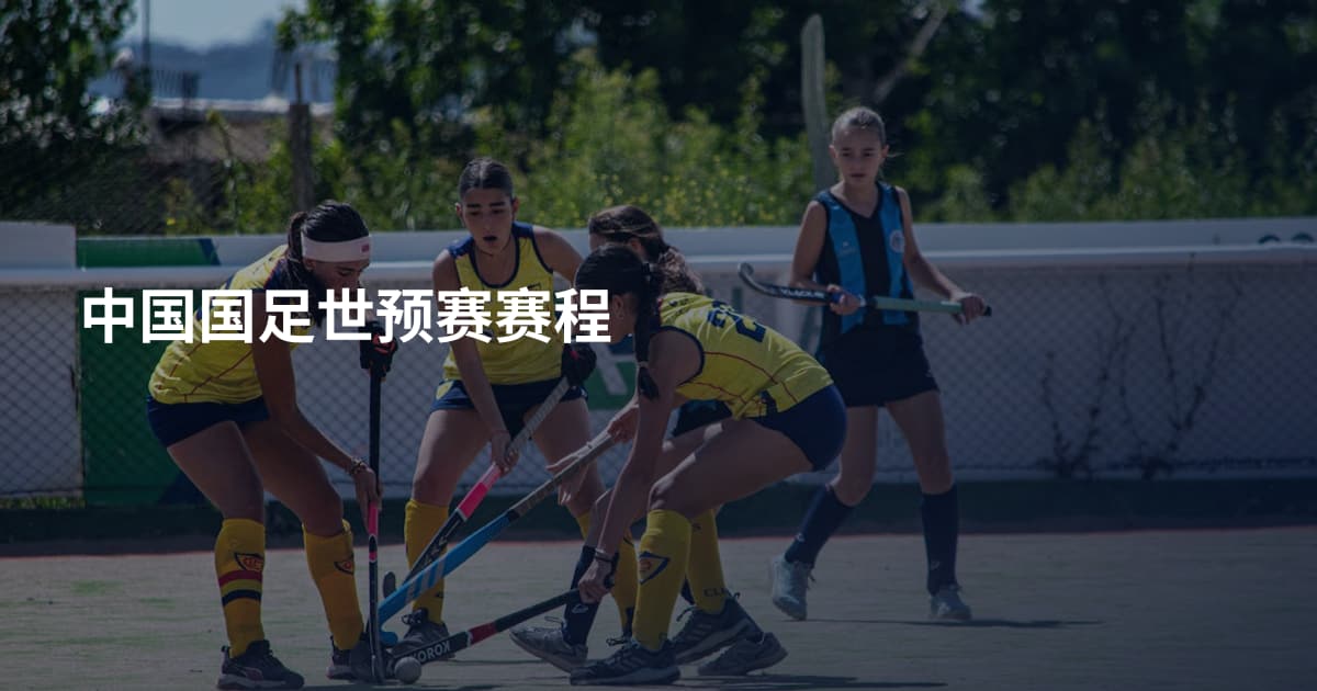 中国国足世预赛赛程