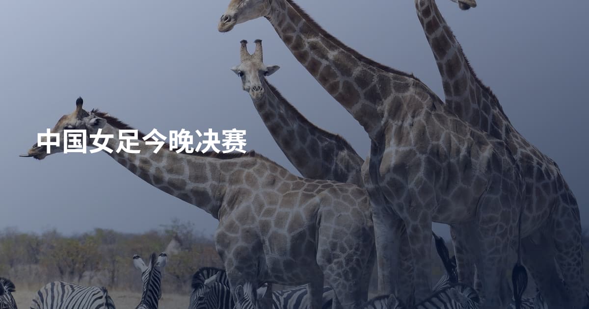 中国女足今晚决赛