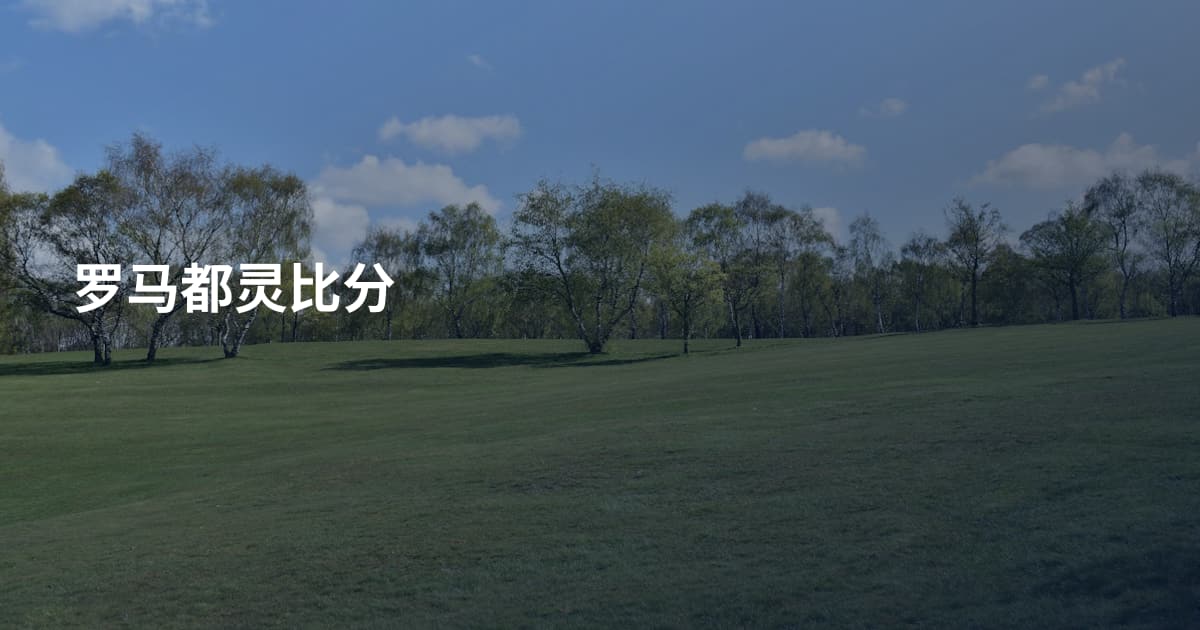 罗马都灵比分