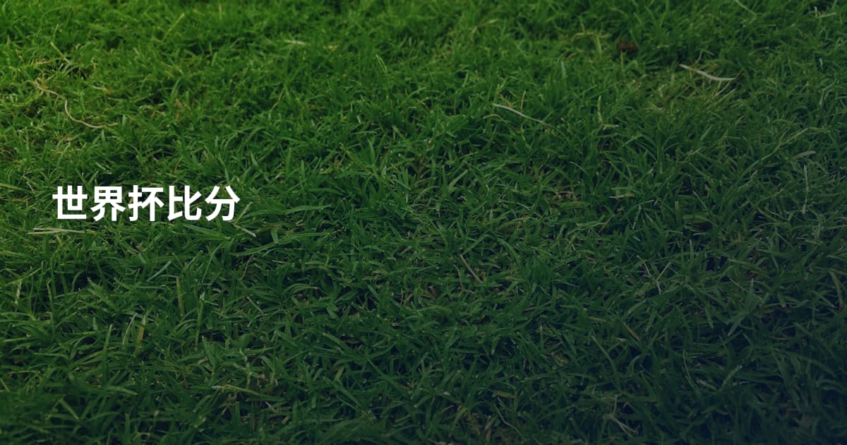 世界抔比分