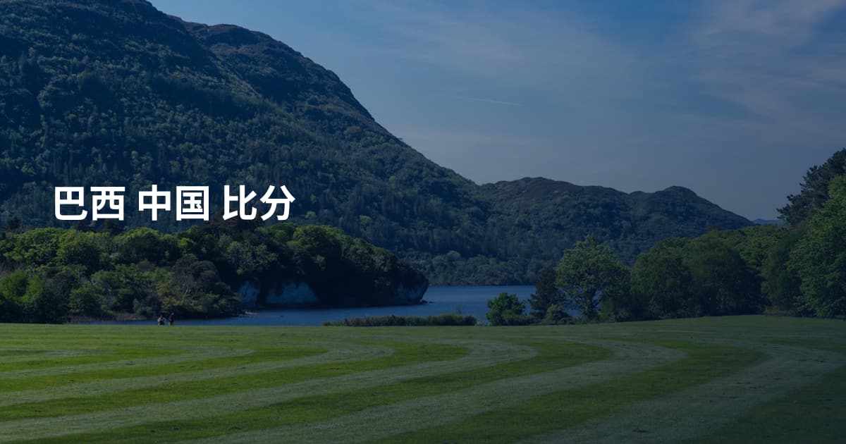 巴西 中国 比分
