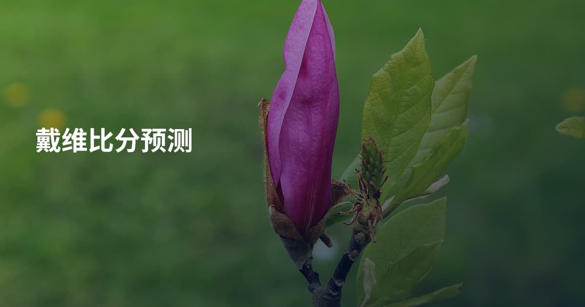 戴维比分预测