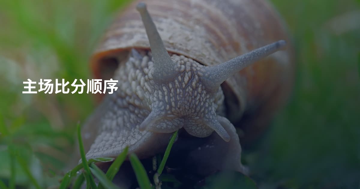 主场比分顺序