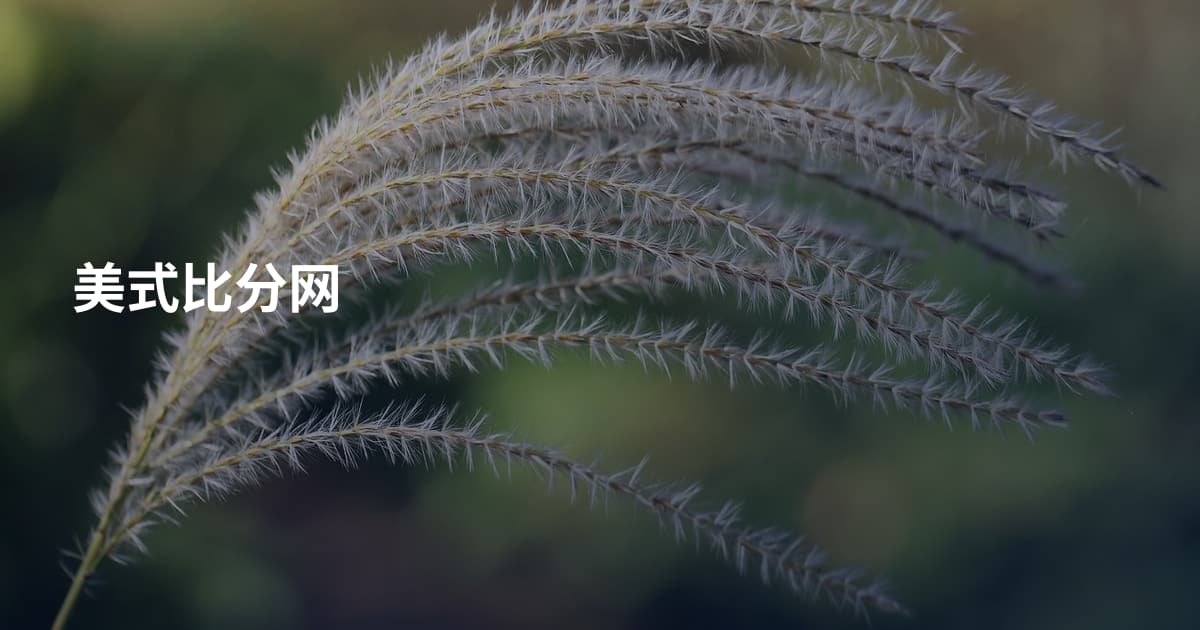 美式比分网