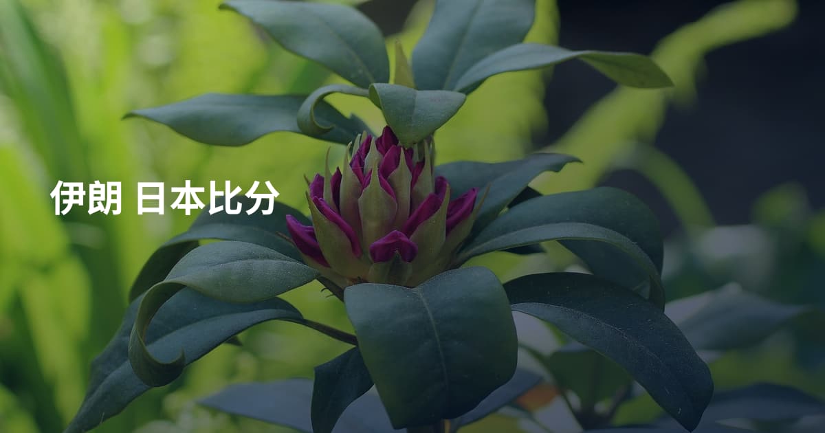 伊朗 日本比分