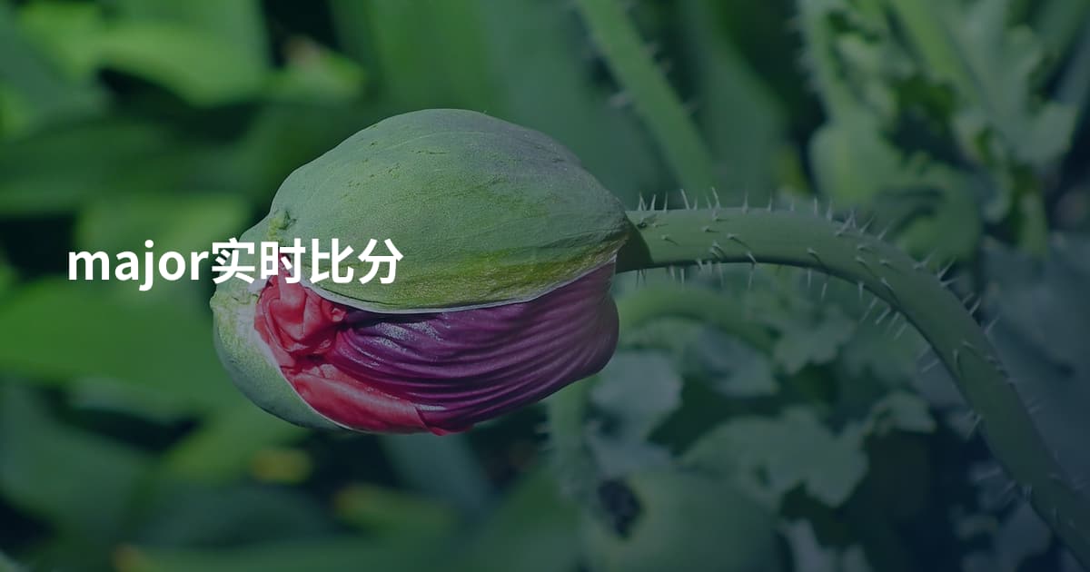 major实时比分
