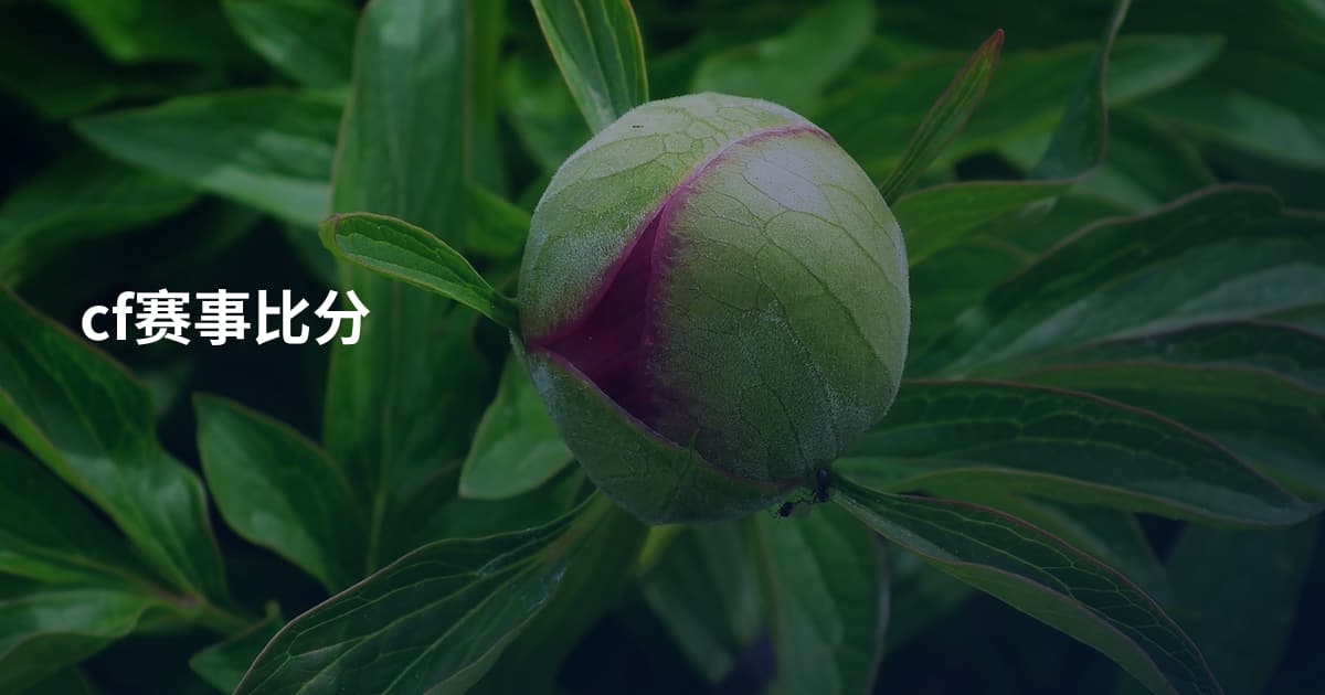 cf赛事比分