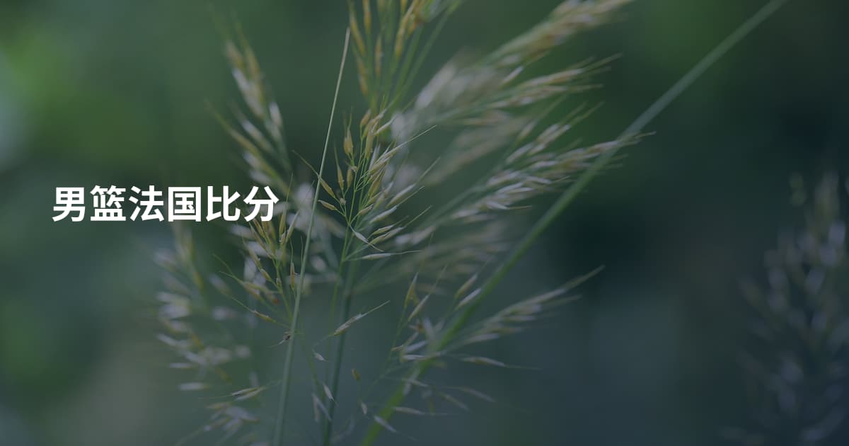 男篮法国比分