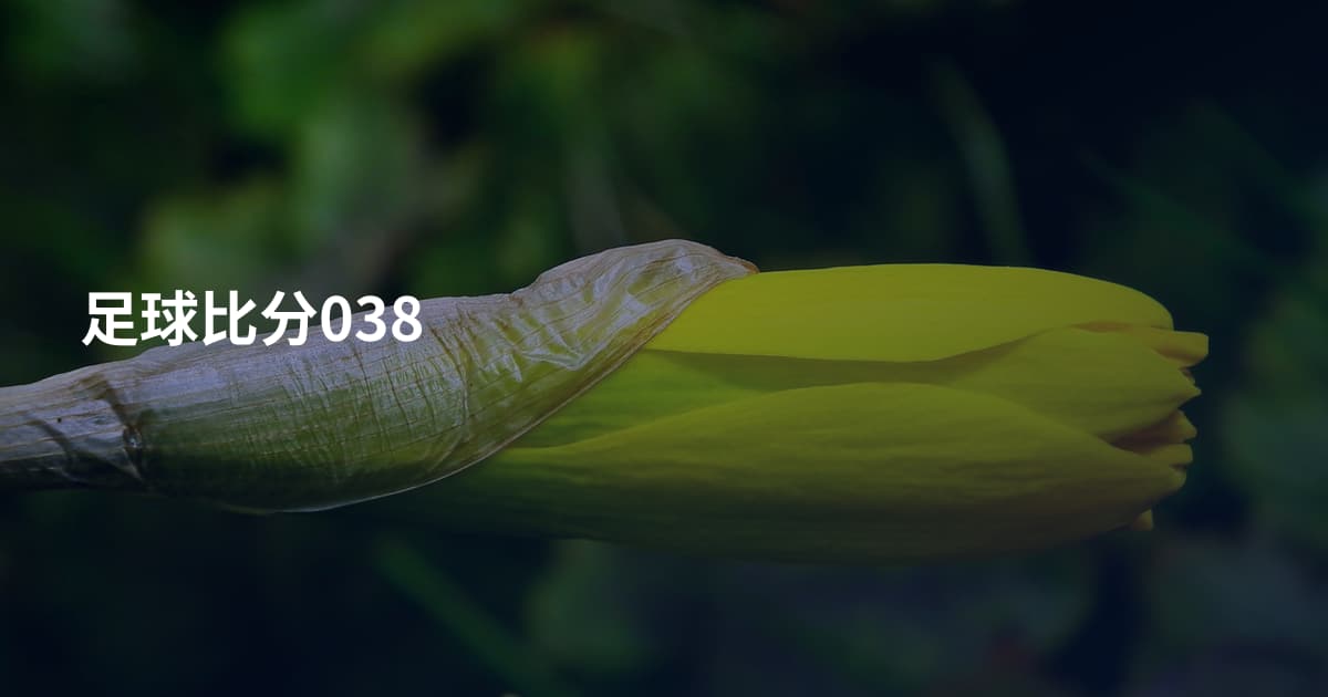 足球比分038