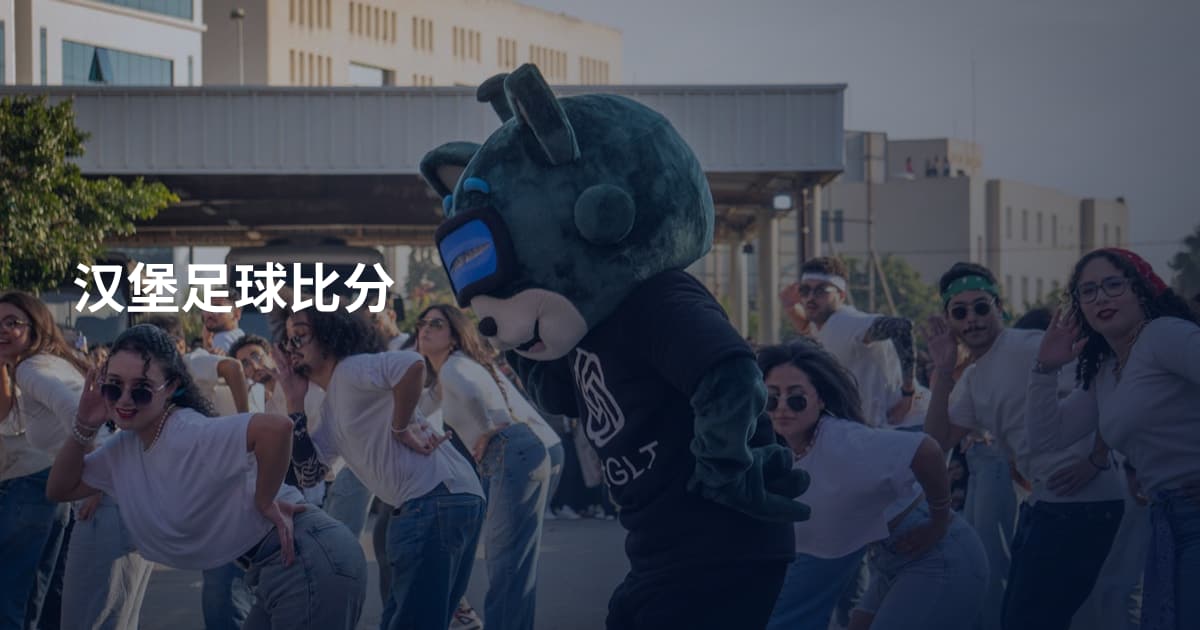 汉堡足球比分