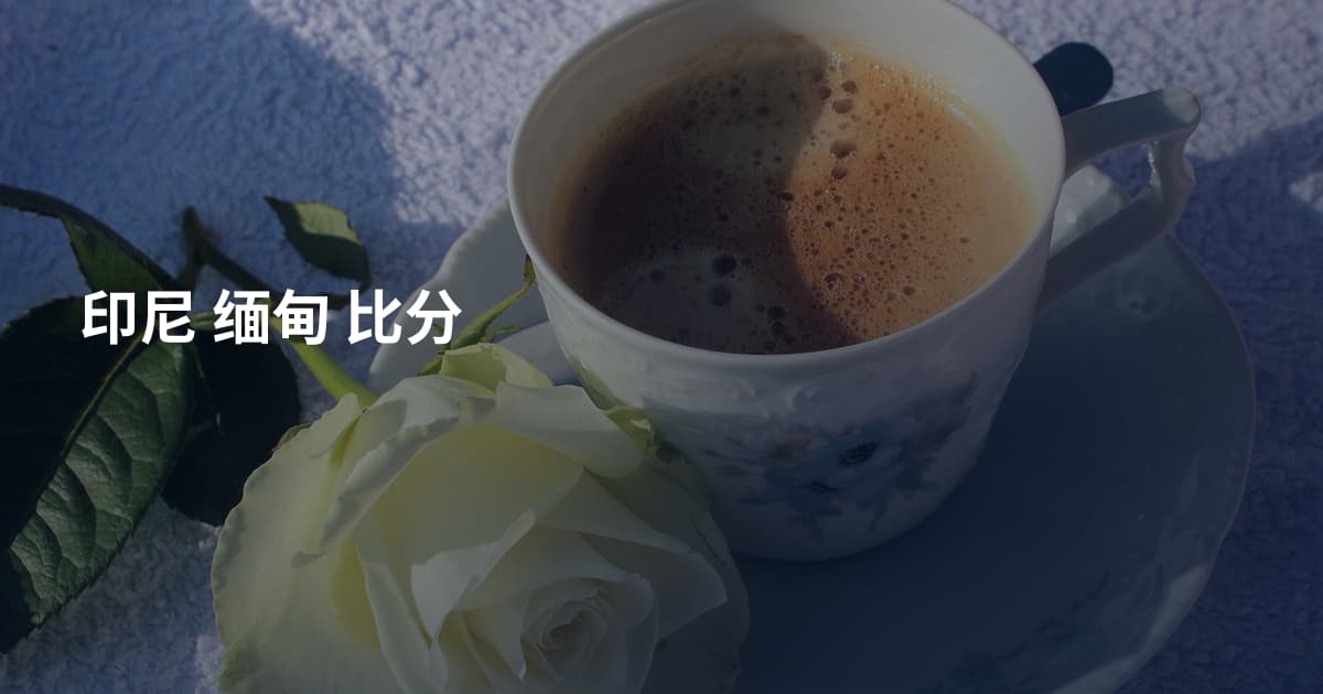 印尼 缅甸 比分