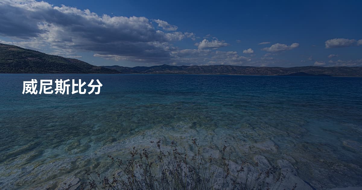 威尼斯比分