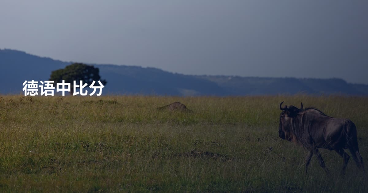 德语中比分