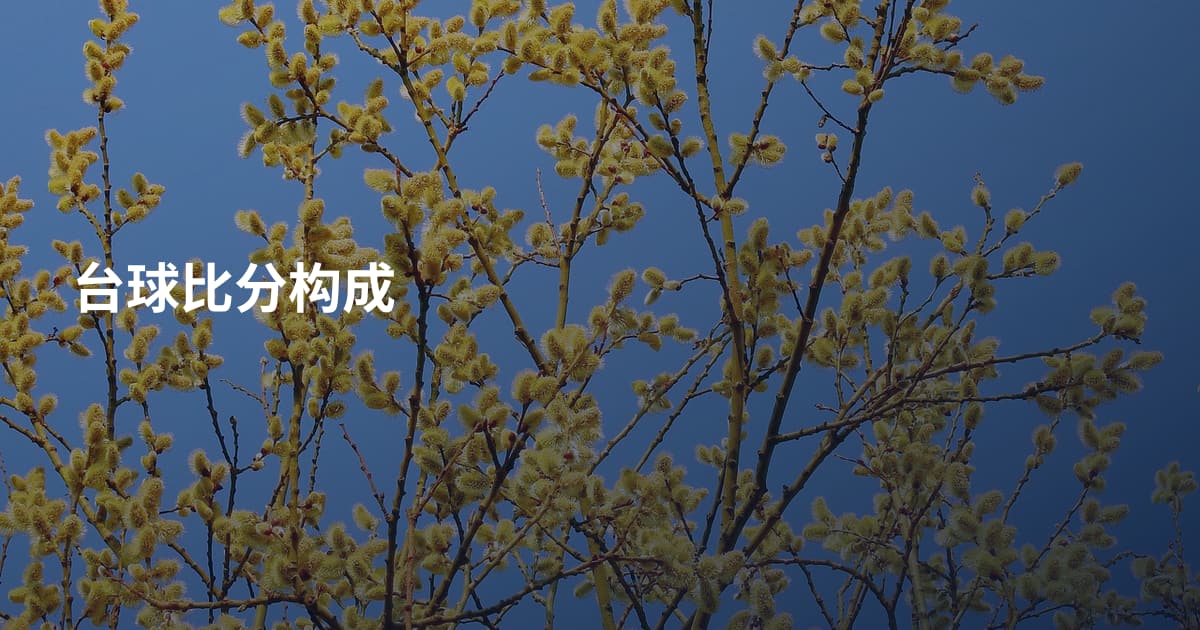 台球比分构成