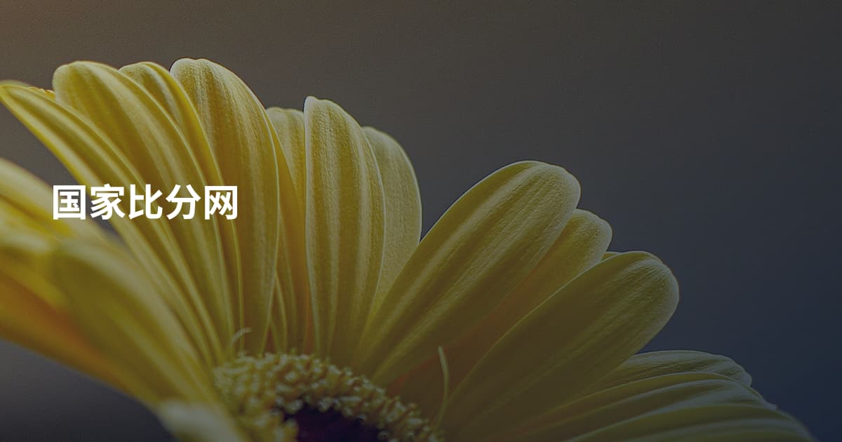 国家比分网