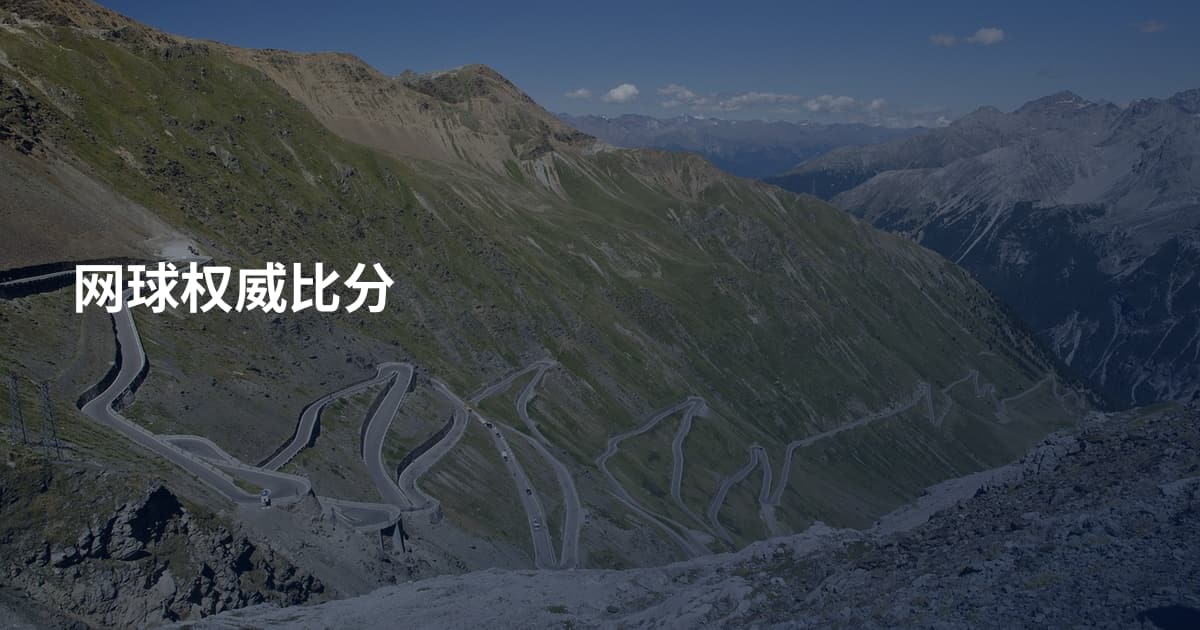 网球权威比分