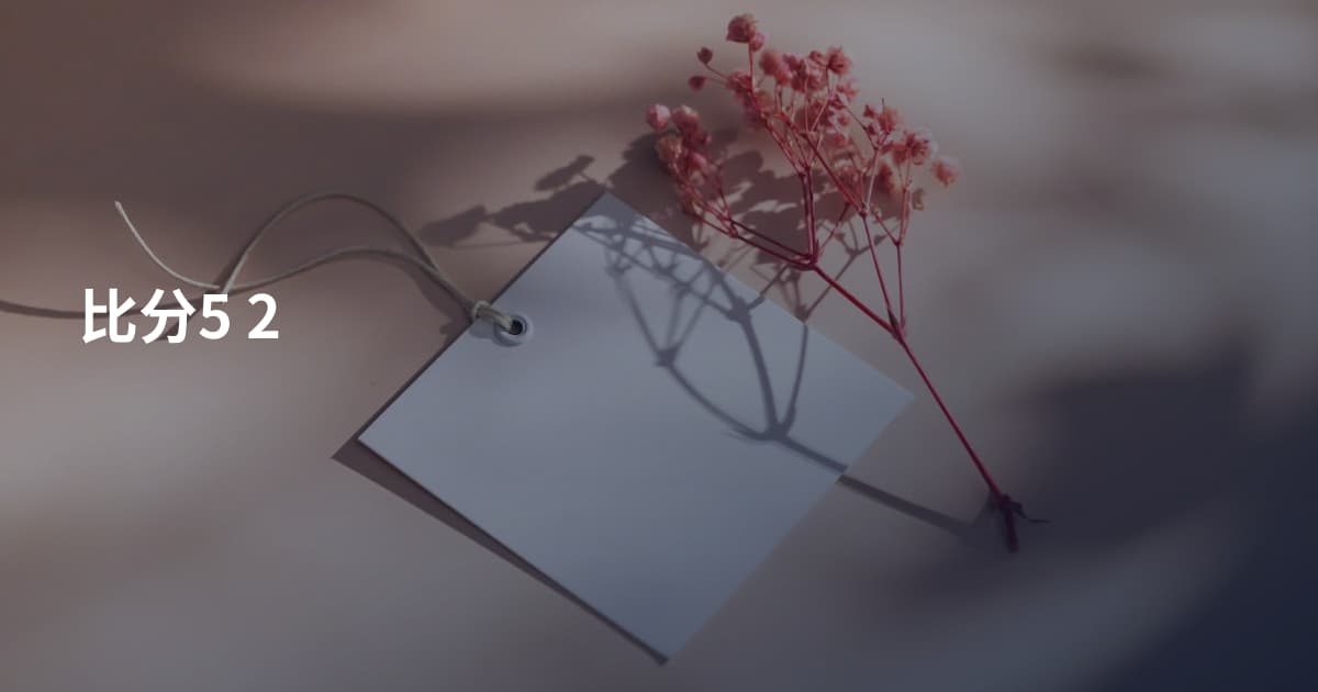 比分5 2