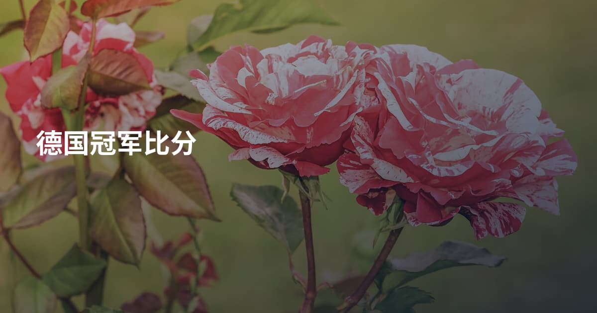 德国冠军比分