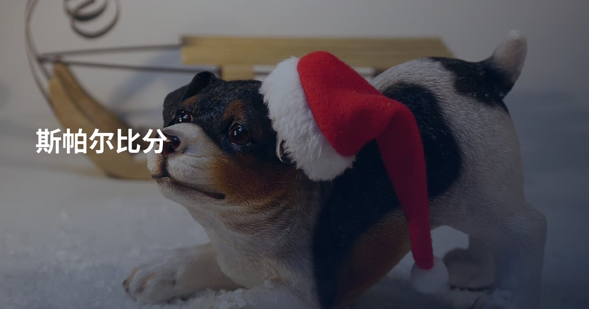 斯帕尔比分