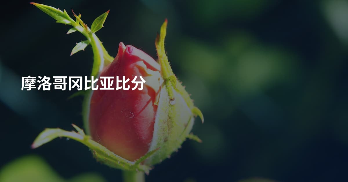 摩洛哥冈比亚比分