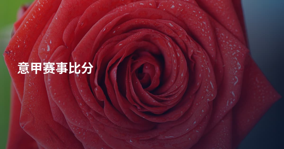 意甲赛事比分