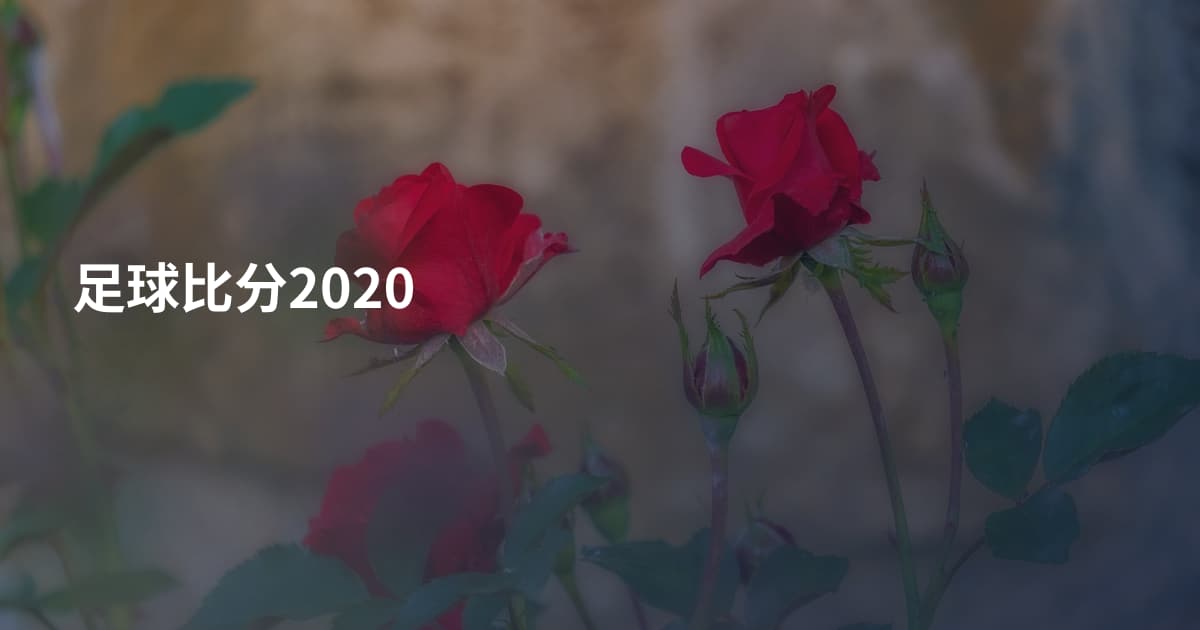 足球比分2020