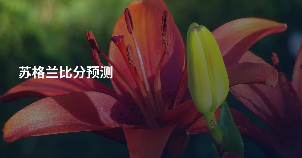 苏格兰比分预测