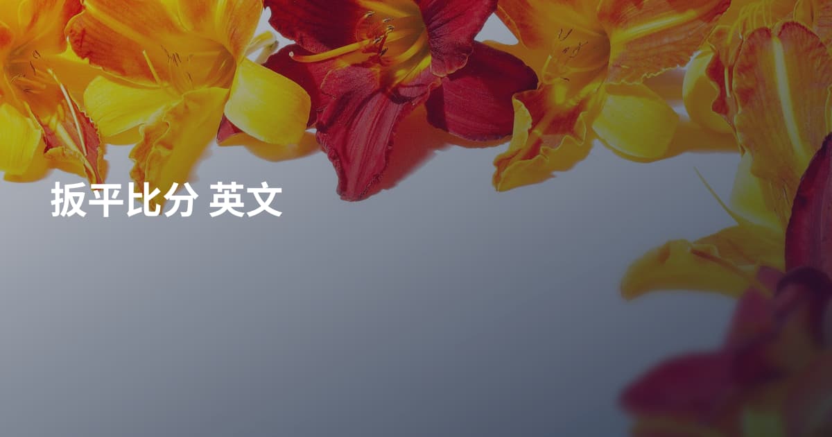 扳平比分 英文