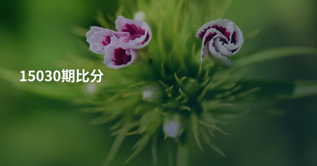 15030期比分